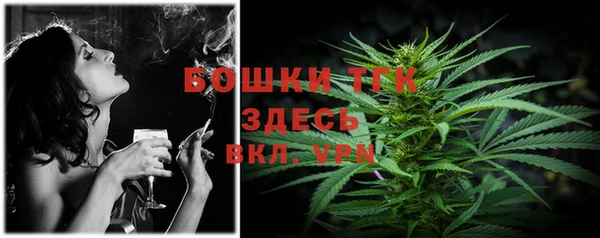 стафф Аркадак