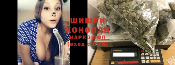 стафф Аркадак