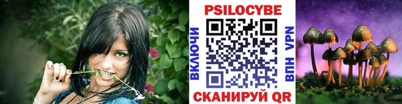 Псилоцибиновые грибы GOLDEN TEACHER  Купить  Билибино 